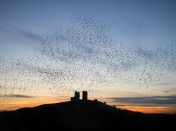 Selain Aurora, Senja di Dorset Diprediksi Jadi Favorit Turis di 2025