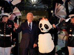 Video: Jill Biden Berkostum Panda di Perayaan Halloween Gedung Putih