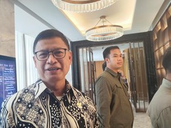 Gaduh Residu di Anggur Muscat, BPOM Sarankan Konsumsi Anggur Lokal Dulu