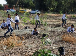 Langkah Irak Melawan Pemanasan Global
