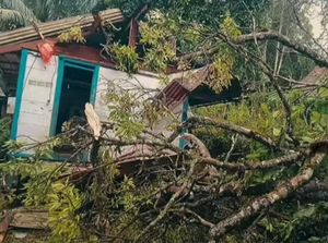 19 Rumah Rusak Diterjang Angin Kencang di Mamasa, Korban Mengungsi