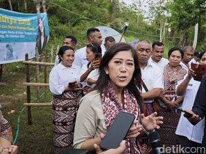 Lepas 3 Frekuensi, Menkomdigi Yakin Operator Bikin Internet Merata Lepas 3 Frekuensi, Menkomdigi Yakin Operator Bikin Internet Merata