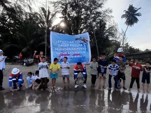 Birukan Langit Pulau Nias, si Setia Kini Bisa Berenang Bebas Birukan Langit Pulau Nias, si Setia Kini Bisa Berenang Bebas