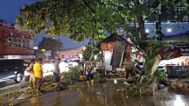 Pohon tumbang di Jalan KS Tubun, Kota Bogor