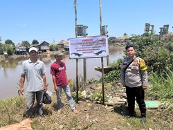 Polsek Jejawi Pasang Puluhan Spanduk Peringatan Usai Madi Diterkam Buaya