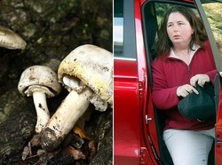 Tak Sengaja Makan Jamur Beracun, Wanita Ini Langsung Tewas