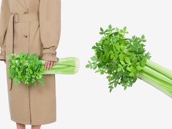 Tas Seharga Rp 71 Juta Ini Bentuknya Disebut Mirip Seledri