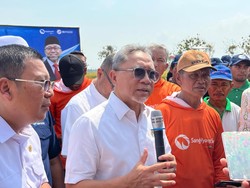 RI Kejar Target Swasembada Pangan, Zulhas Ungkap Strateginya