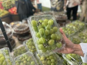 BPOM-Bapanas Uji Anggur Muscat di RI, Hasilnya Nihil Residu Berbahaya BPOM-Bapanas Uji Anggur Muscat di RI, Hasilnya Nihil Residu Berbahaya