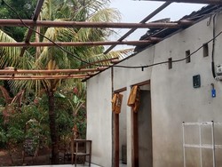 Video: Diterjang Angin Puting Beliung, Atap Rumah di Bali Terbang ke Jalan