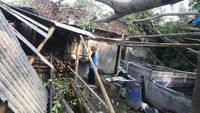 Angin Kencang Terjang Kediri, Rumah-rumah Warga Tertimpa Pepohonan