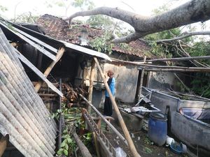 Angin Kencang Terjang Kediri, Rumah-rumah Warga Tertimpa Pepohonan