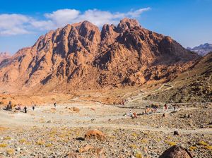 Warisan Dunia Gunung Sinai dalam Bayang-Bayang Proyek Pariwisata Warisan Dunia Gunung Sinai dalam Bayang-Bayang Proyek Pariwisata
