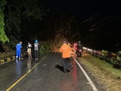 Jalan di Sampoddo Palopo Tertutup Longsor-Pohon Tumbang, Lalin Macet Parah