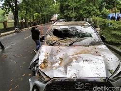Pohon Tumbang di Bandung Timbulkan Korban, Tanggung Jawab Siapa?