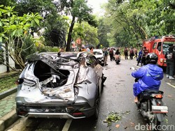 Tragedi Pohon Tumbang Timpa Ibu-Anak dalam Mobil di Bandung
