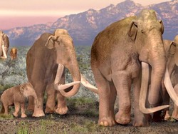 Bagaimana Cara Orang Zaman Purba Berburu Hewan yang Sangat Besar?