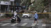 Pepohonan di Taiwan Tumbang Dihantam Topan Kong-rey