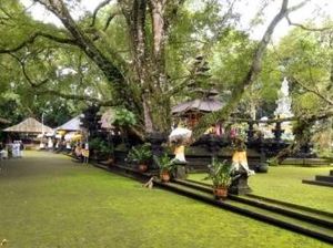 Desa Tajun, Pusat Produksi Cengkeh di Bali Utara Desa Tajun, Pusat Produksi Cengkeh di Bali Utara