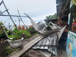 2 Warung-Tempat Penetasan Penyu di Buleleng Rusak Diterjang Angin Kencang
