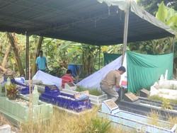 Makam Siswi Sekolah Penerbangan Medan yang Tewas Diekshumasi Pagi Ini