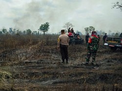TN Way Kambas Kebakaran, Polisi Diminta Usut Siapa Dalangnya