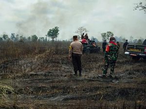 TN Way Kambas Kebakaran, Polisi Diminta Usut Siapa Dalangnya TN Way Kambas Kebakaran, Polisi Diminta Usut Siapa Dalangnya