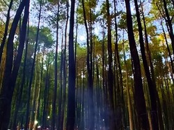 Wisata Kedung Klurak Ecopark: Daya Tarik, Rute, HTM, dan Jam Buka