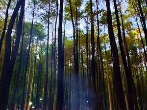 Wisata Kedung Klurak Ecopark: Daya Tarik, Rute, HTM, dan Jam Buka Wisata Kedung Klurak Ecopark: Daya Tarik, Rute, HTM, dan Jam Buka