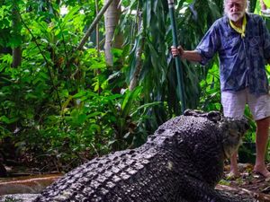 Akhir Kisah Cassius, si Buaya Terbesar di Dunia Akhir Kisah Cassius, si Buaya Terbesar di Dunia