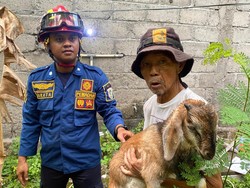 Damkar Klaten Selamatkan Cempe Kecemplung Sumur 13 Meter di Kalikebo