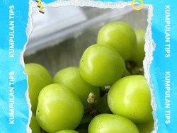 Video KuTips: Memilih dan Mengolah Buah yang Aman Dikonsumsi!