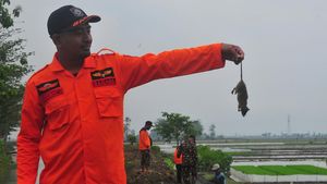 Lihat TNI-Polri Bantu Petani Basmi Tikus di Persawahan