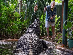 Terpopuler: Buaya Terbesar Dunia Cassius Mati di Usia 110 Tahun