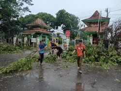 Angin Puting Beliung di Muba Sebabkan Pohon Tumbang hingga Rumah Rusak