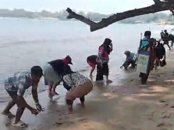 Viral Ikan di Pantai Carita Naik ke Daratan, BPBD: Fenomena Peralihan Musim