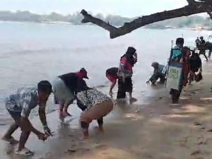 Viral Ikan di Pantai Carita Naik ke Daratan, BPBD: Fenomena Peralihan Musim Viral Ikan di Pantai Carita Naik ke Daratan, BPBD: Fenomena Peralihan Musim
