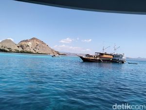 Tarif Mancing TN Komodo Rp 5 Juta, Usaha Sport Fishing Terancam Tutup Tarif Mancing TN Komodo Rp 5 Juta, Usaha Sport Fishing Terancam Tutup