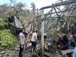 Warga Blitar Tewas Tertimpa Pohon Tumbang