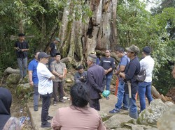 Suwardi Tinjau TKP Pohon Tumbang Tewaskan 9 Orang di Situs Mattabulu Soppeng