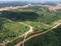 Tanah Telantar 2 Tahun Mau Diambil Negara, Pemilik Bisa Protes?