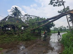 Hujan Angin di Sleman, Pohon-Tiang Listrik Roboh di Puluhan Titik