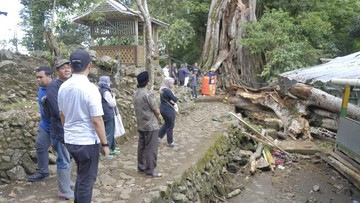 Tragedi Menghantui: 9 Nyawa Melayang Akibat Pohon Raksasa Tumbang di Situs Makam Wisatawan