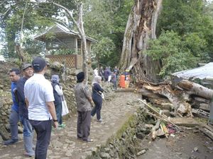 Nahas, 9 Wisatawan Tewas Tertimpa Pohon Tumbang di Situs Makam Nahas, 9 Wisatawan Tewas Tertimpa Pohon Tumbang di Situs Makam