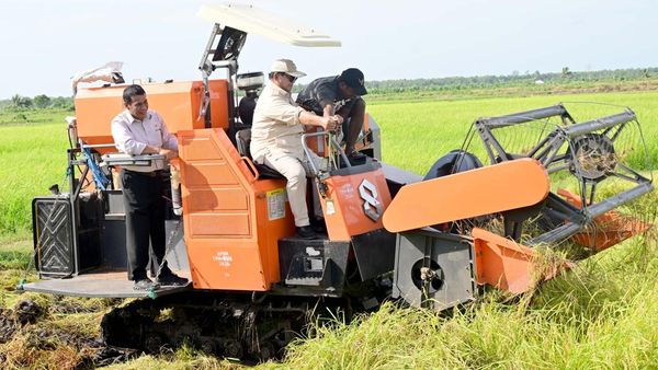 Potret Prabowo Turun ke Sawah hingga Jajal Traktor di Merauke