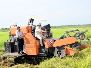Potret Prabowo Turun ke Sawah hingga Jajal Traktor di Merauke