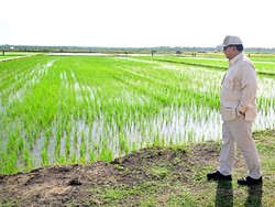 Mengawal Kebijakan Pangan Prabowo