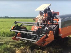 Video: Prabowo Jajal Mesin Combine Harvester saat Tinjau Panen Padi di Merauke