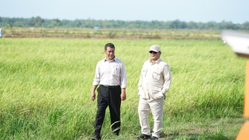 Prabowo Turun ke Sawah di Merauke, Tinjau Program Swasembada Pangan