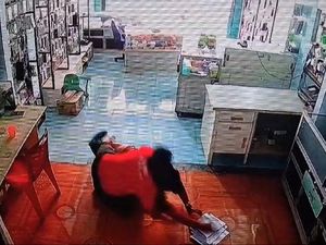 Oknum Lurah Dilaporkan ke Bawaslu Diduga Galang Massa Dukung Cabup Musi Rawas Oknum Lurah Dilaporkan ke Bawaslu Diduga Galang Massa Dukung Cabup Musi Rawas